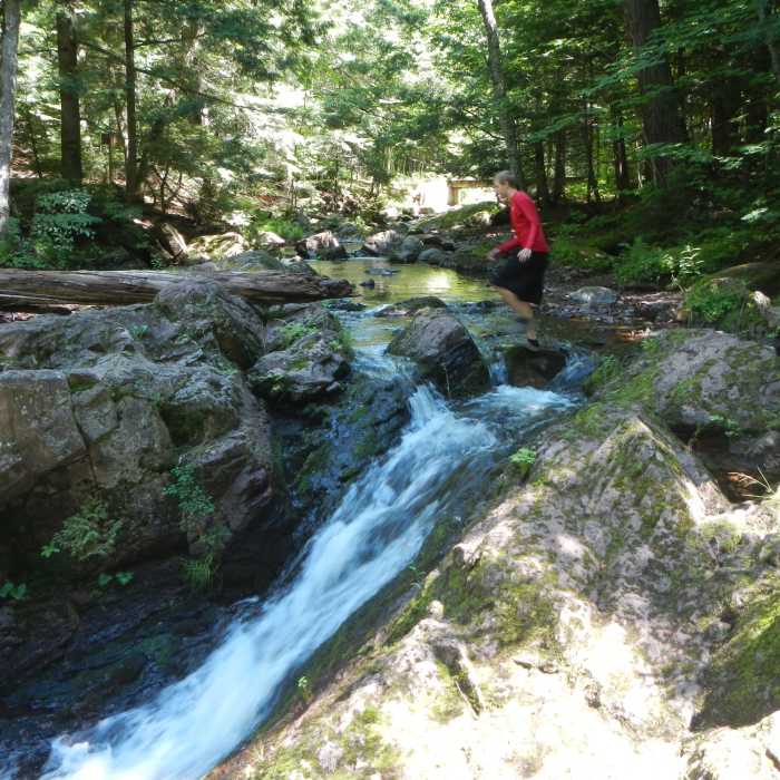 Near Little Carp River Trail