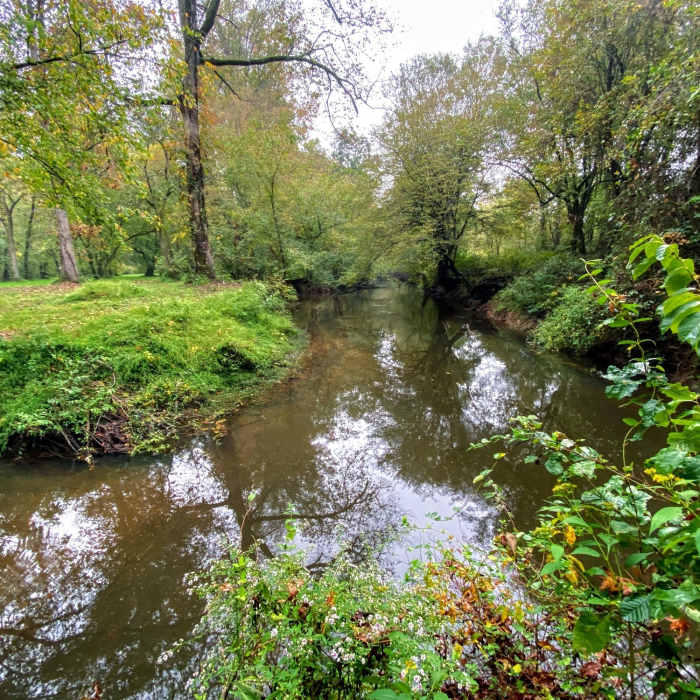 Near Two Forks Trail