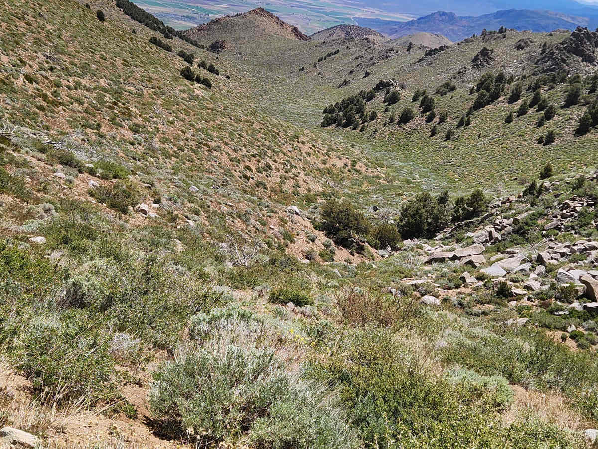 Rickey Canyon - BLM P-11 photo 3