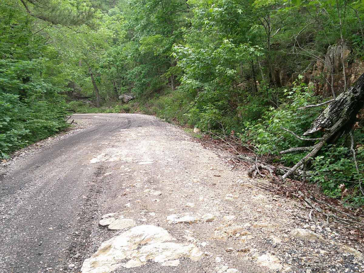 Big Fork Athens Road trail photo