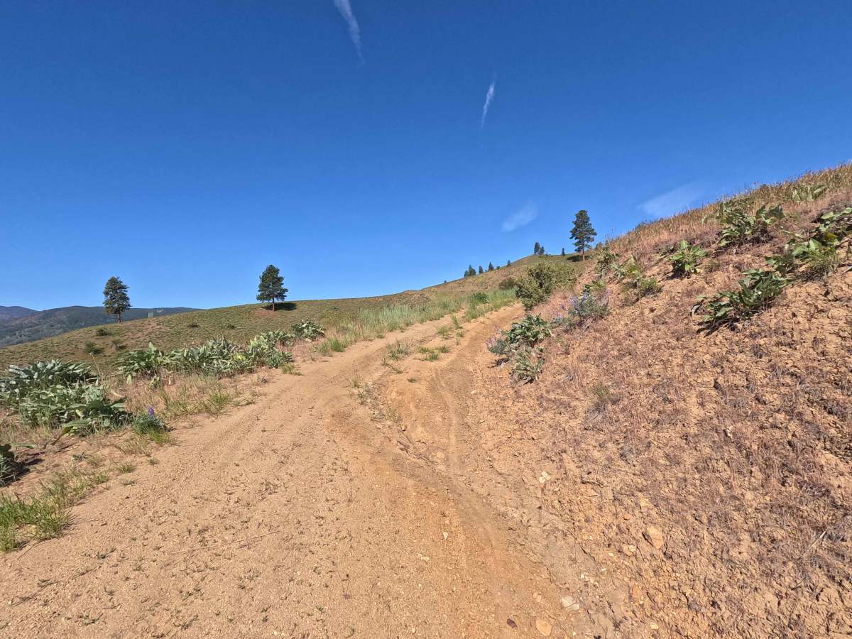 Powerline Road - FS 5303 photo 3