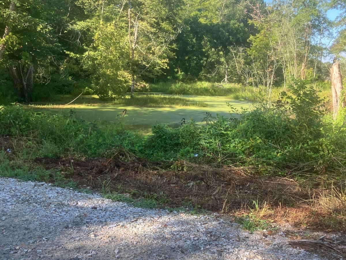 Fury's Ferry Boat Ramp photo 5