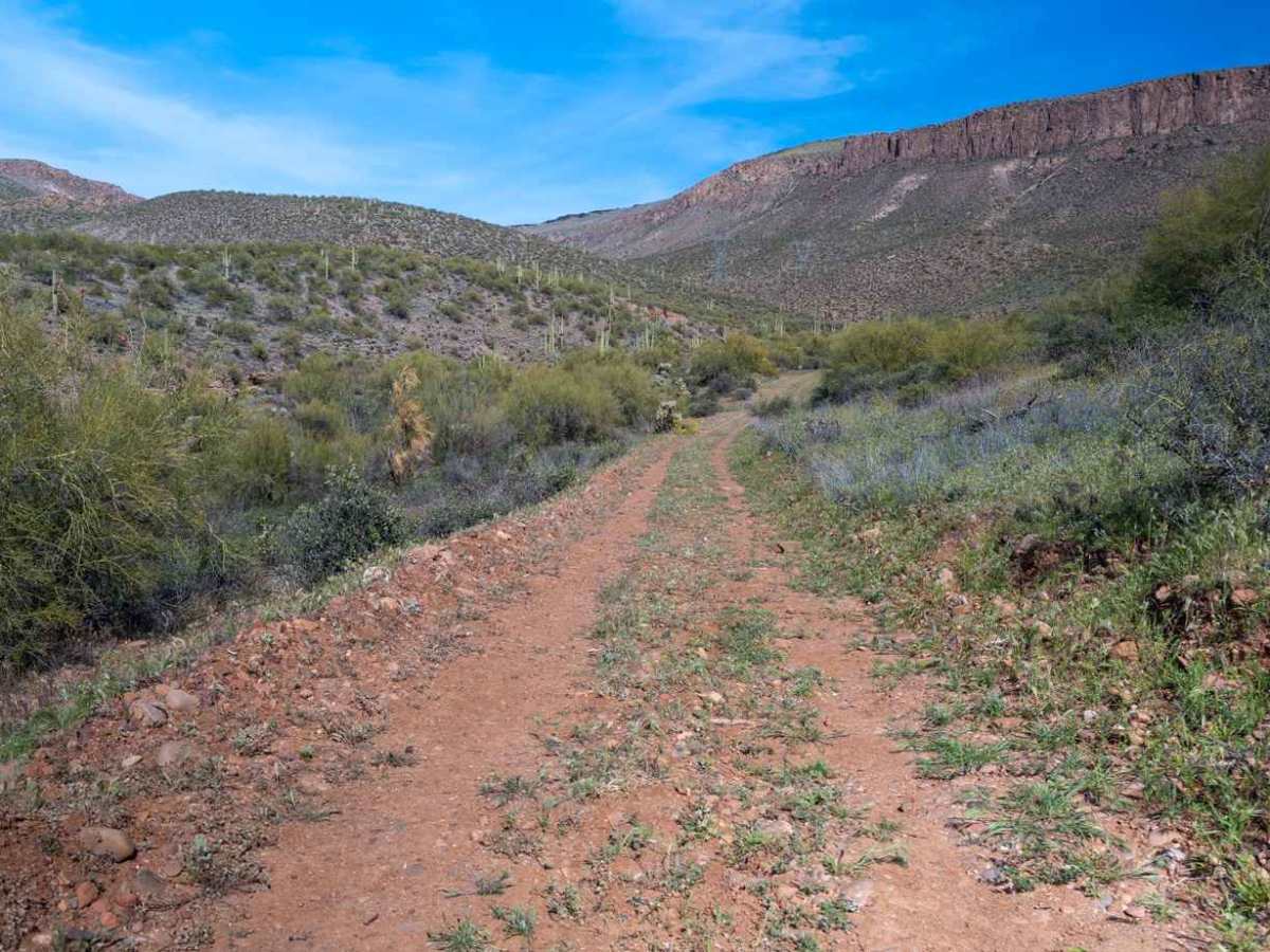 Braddock Creek - FS 3274 photo 6