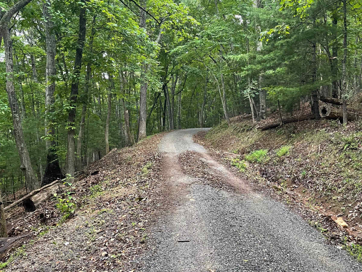 Salt Pond Road photo 3