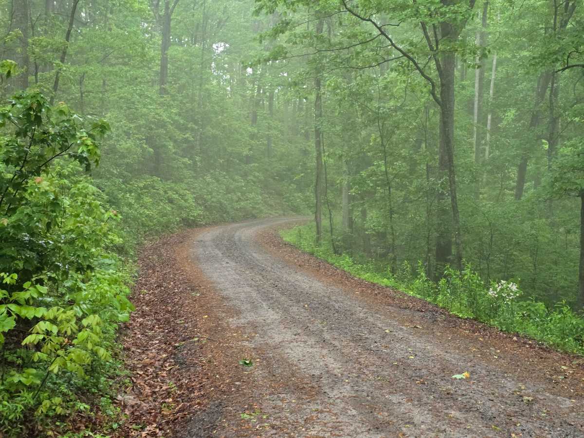 Old Highway Road - FS 311 trail photo