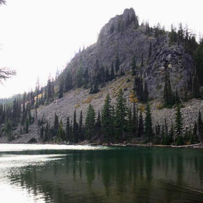 Near Pacific Crest Trail: Oregon Section E - Highway 58 to Highway 242