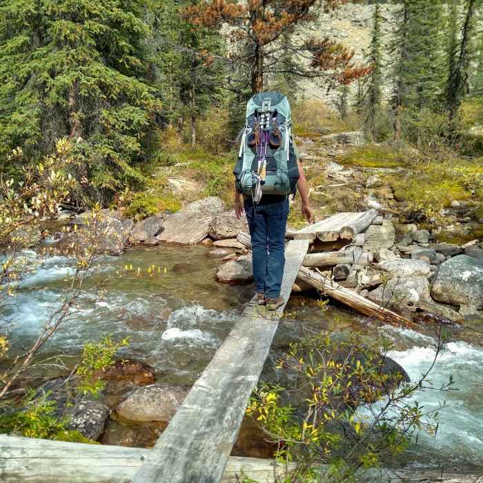 Here, Poligne Creek is crossed one of several times, on the way to Maligne Pass. Near Maligne Pass Trail