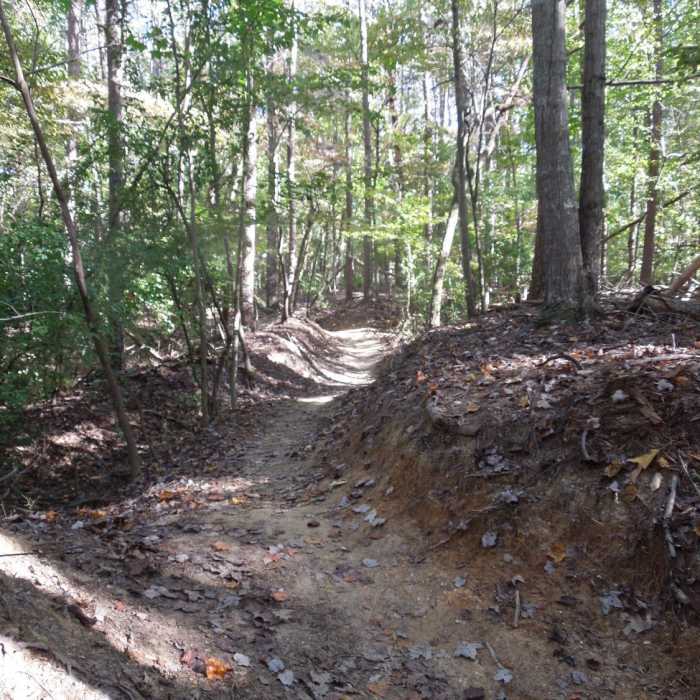 Near Owl's Roost Trail