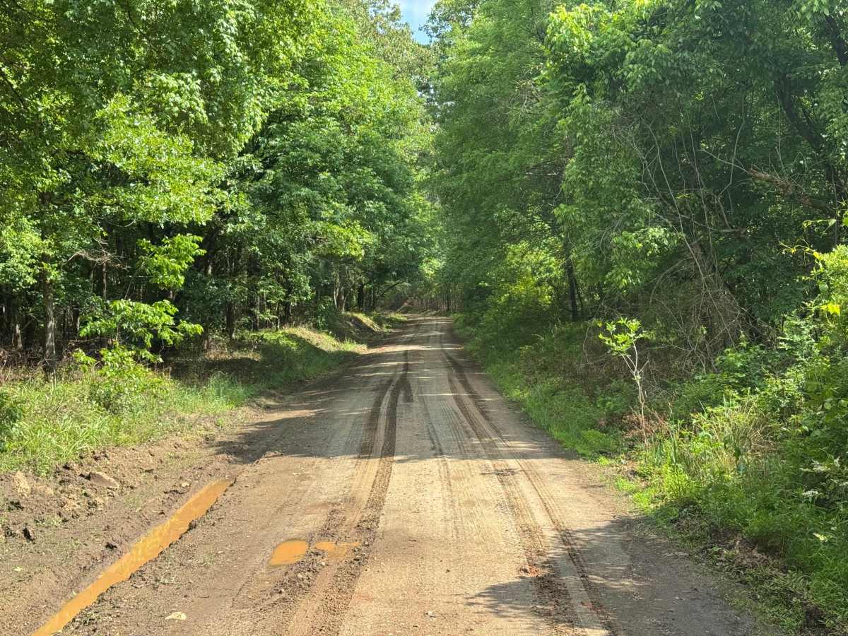 Reids Road trail photo