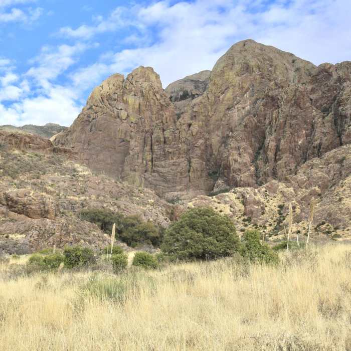 Near Dripping Springs Trail Near Dripping Springs Trail