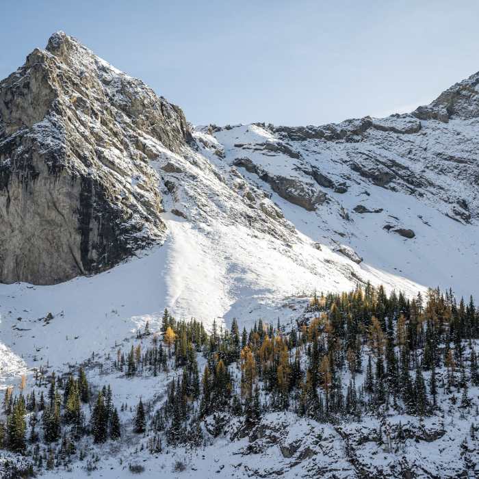 Near Galatea Lakes Trail