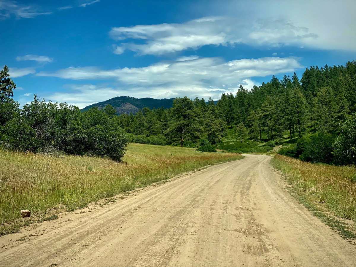 Fawn Gulch-Fr Rd 666 photo 4