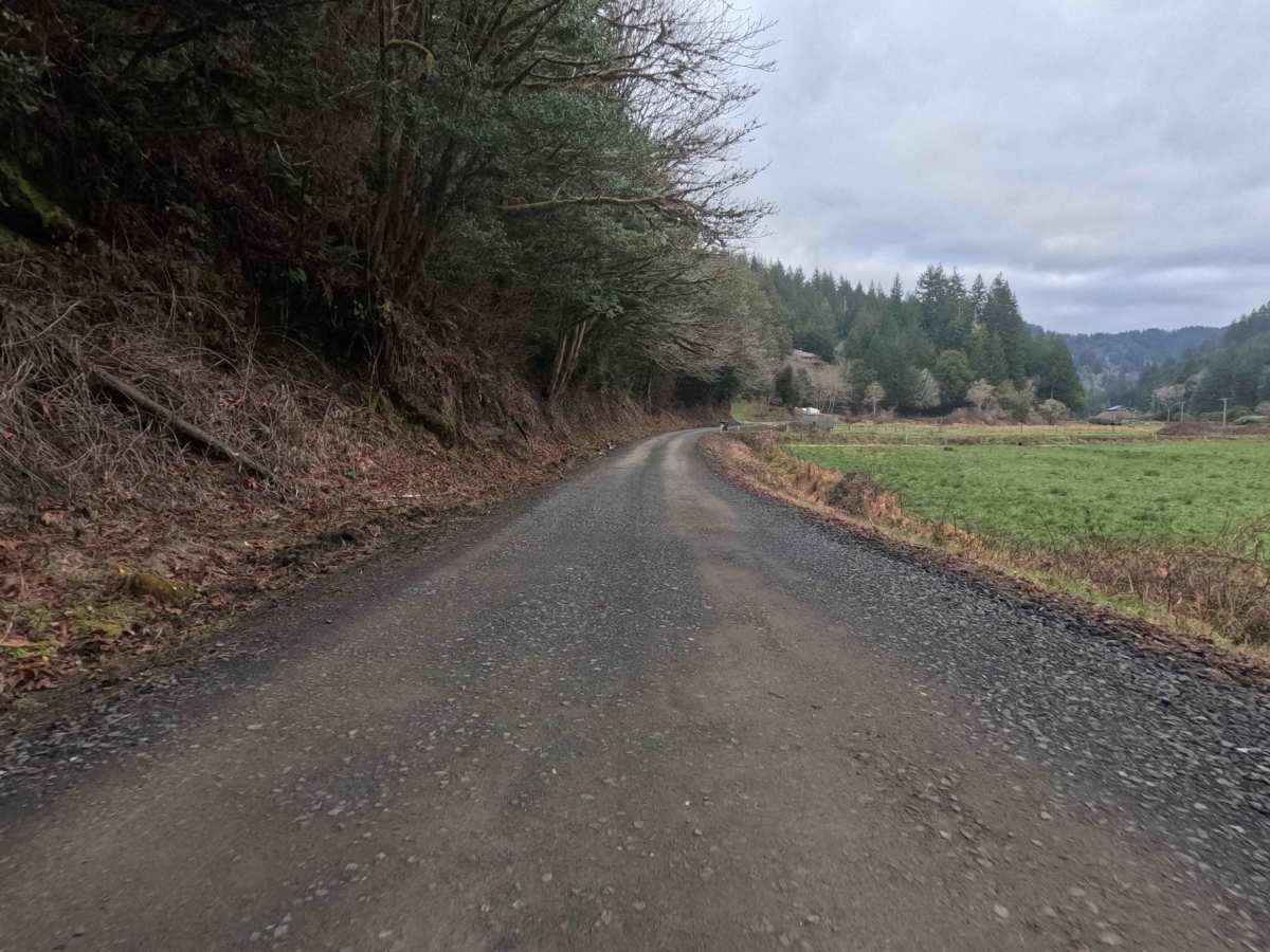 Haynes Way Lane photo 6