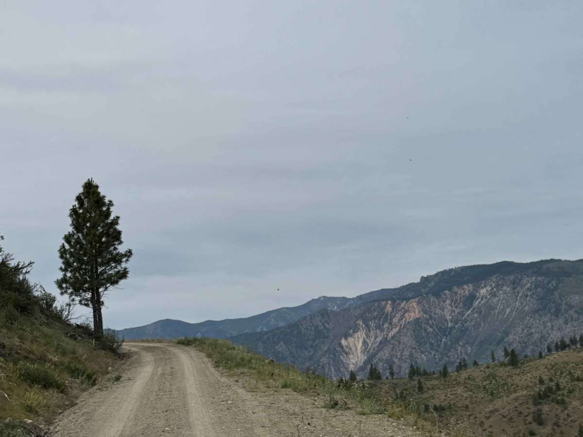 Joe Creek Road - FS 8210 photo 6