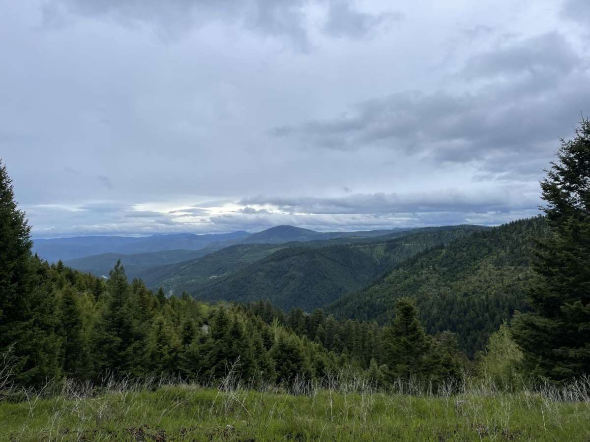 Upper Cave Gulch Road trail photo