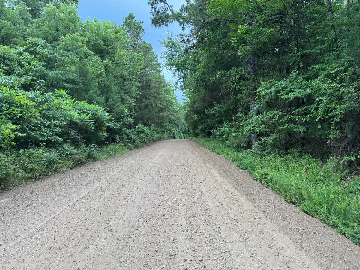Ross Mountain photo 4