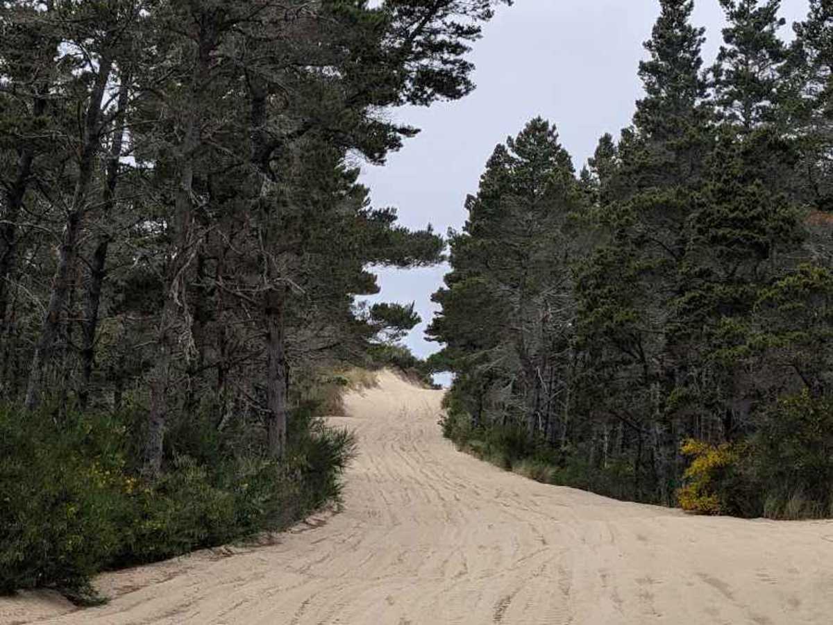 South Jetty Trail A - FS 1344A photo 5