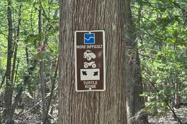 Deer Stand Cutover 