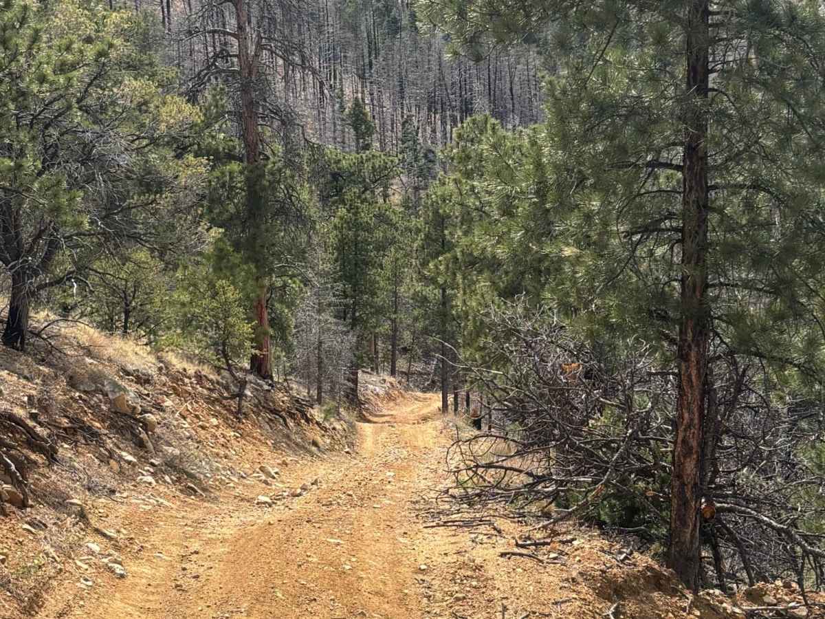 Methodist Mountain Road photo 3