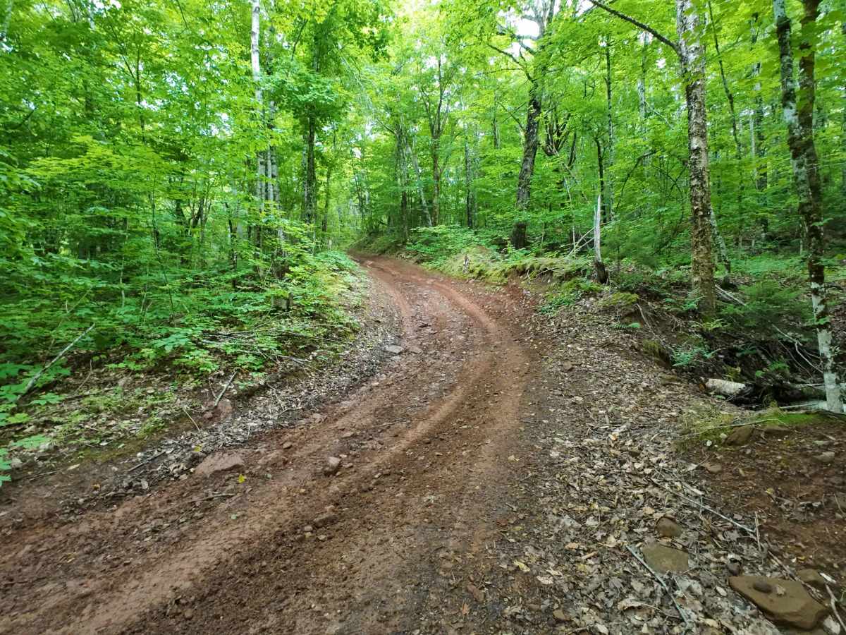 Mud Hill photo 5