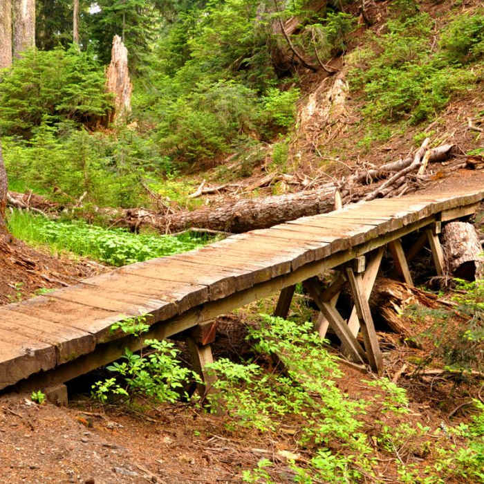 Near Anderson and Watson Lakes