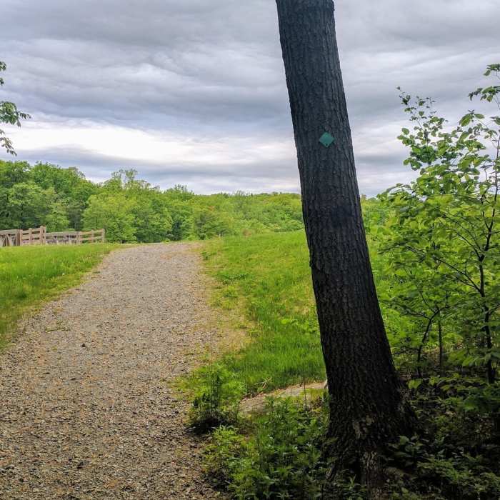 The forested view opens up as you approach Saffin Pond. Near The Highlands Trail - NJ Section