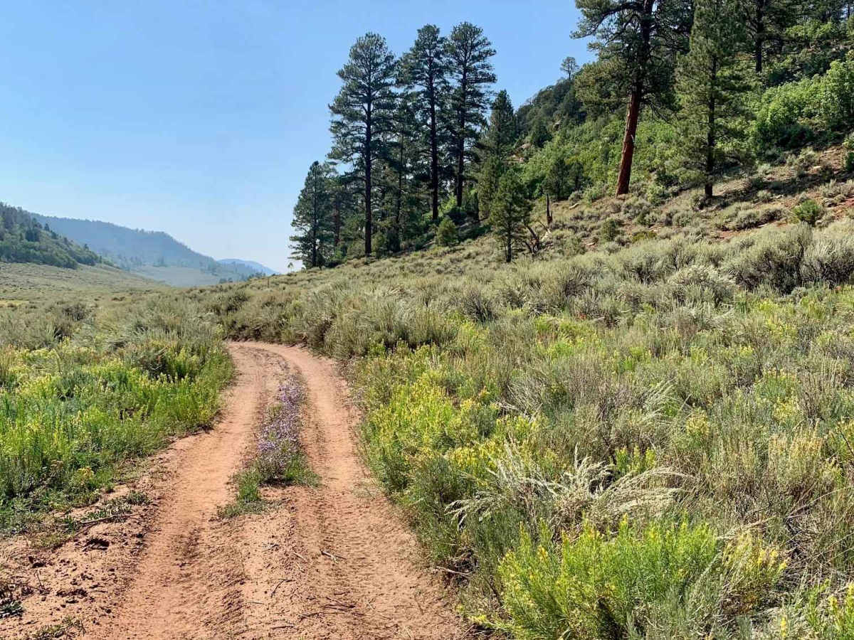 Gill Creek Loop 50" photo 2