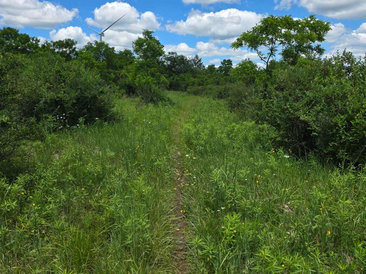Single Track KK photo 3
