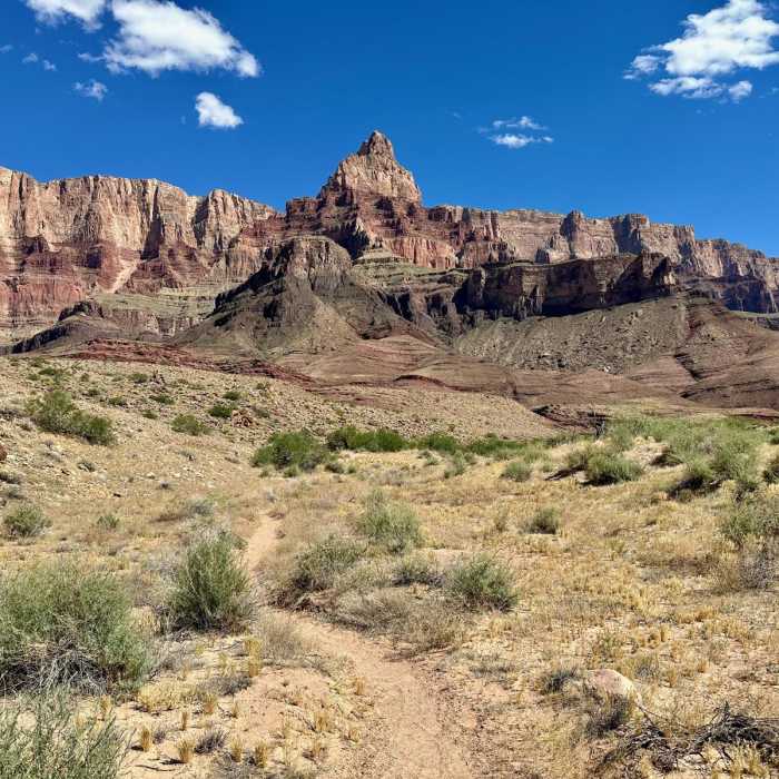 Near Hayduke Trail: Section 11