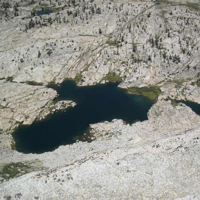 Near Mt. Hoffman Trail