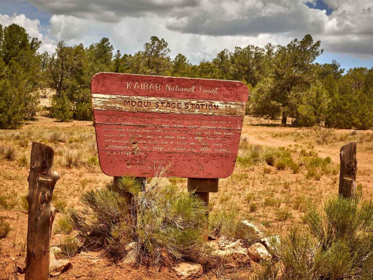 Old 301 Road (Southern Section) photo 3