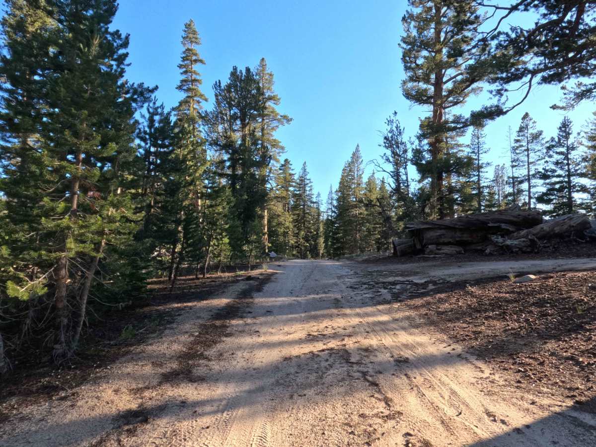 Unnamed Spur off Jobs Peak Trail Road - FS 31051 photo 5