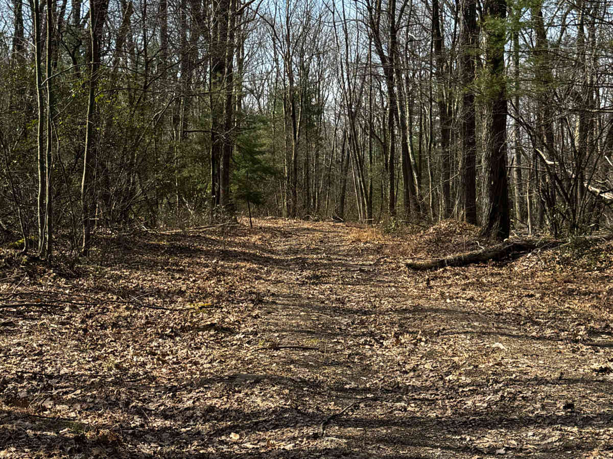 Diamond Rock Trail photo 3