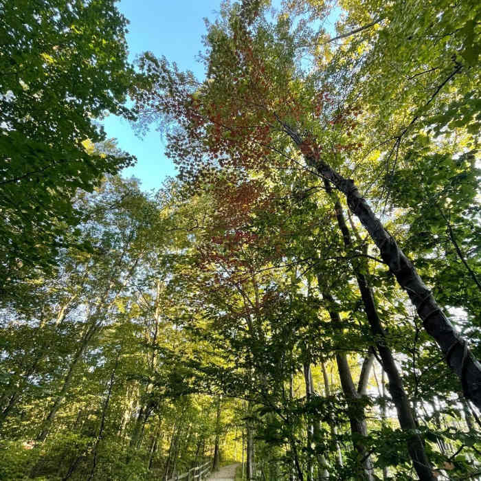 Near Paugussett Trail