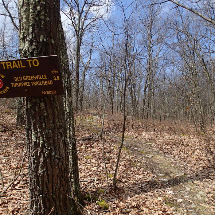Near Lenape Ridge Trail