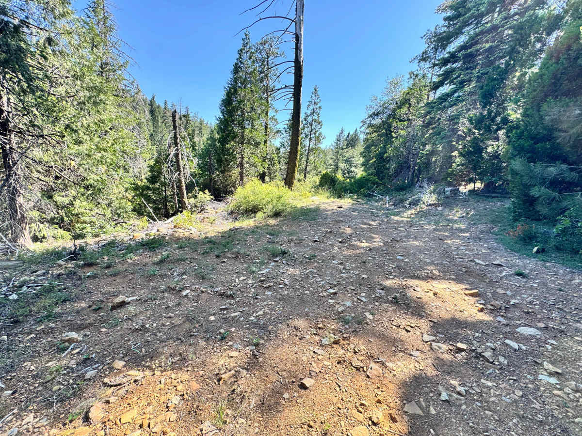 Lower Glen - FS 96 trail photo
