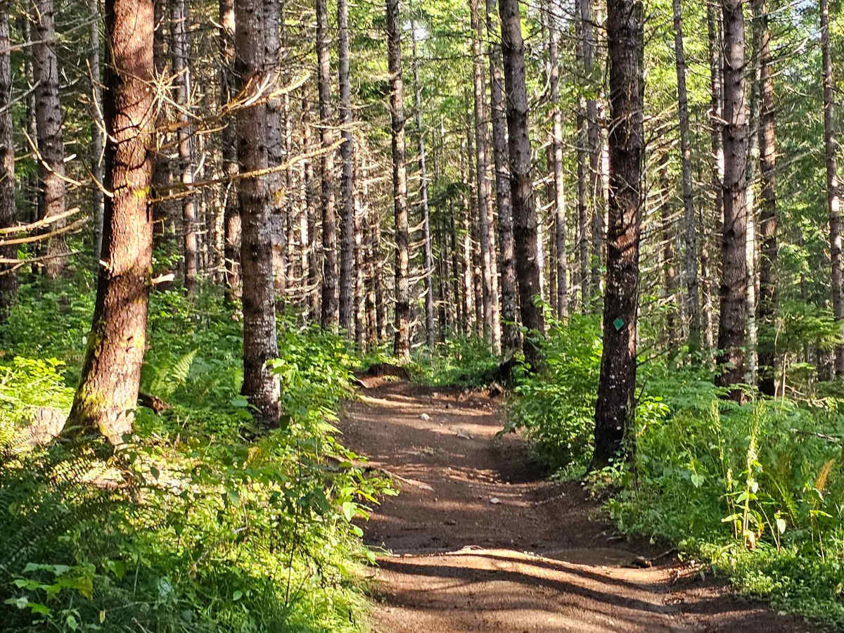 Inner Alder loop photo 4