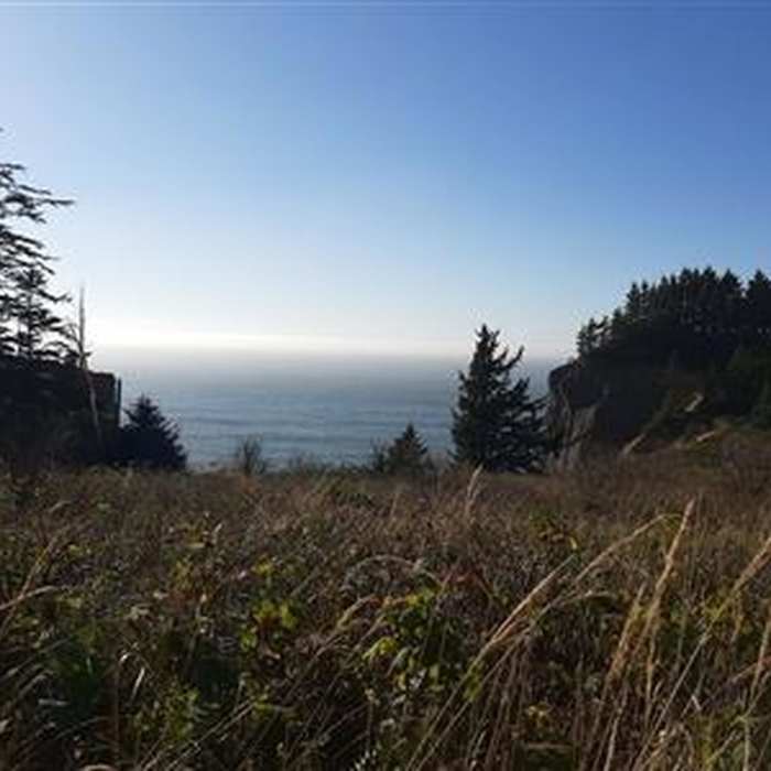 Near Elk Flats Trail