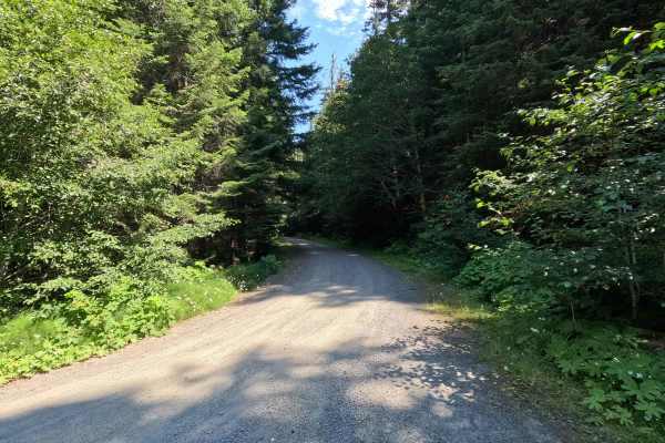 Upper Dunegeness Fork - FS 2870