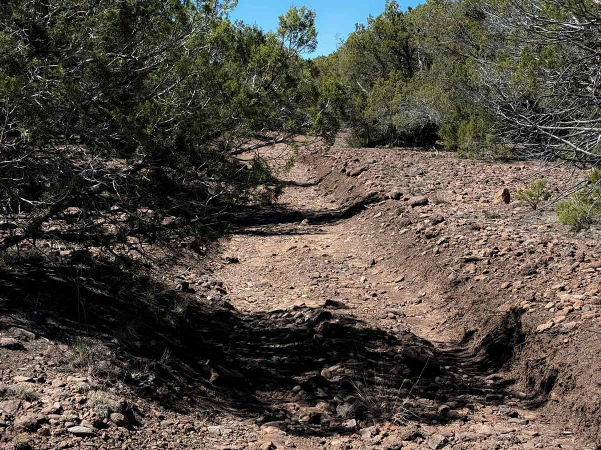 Smith Mesa Corral #665  trail photo
