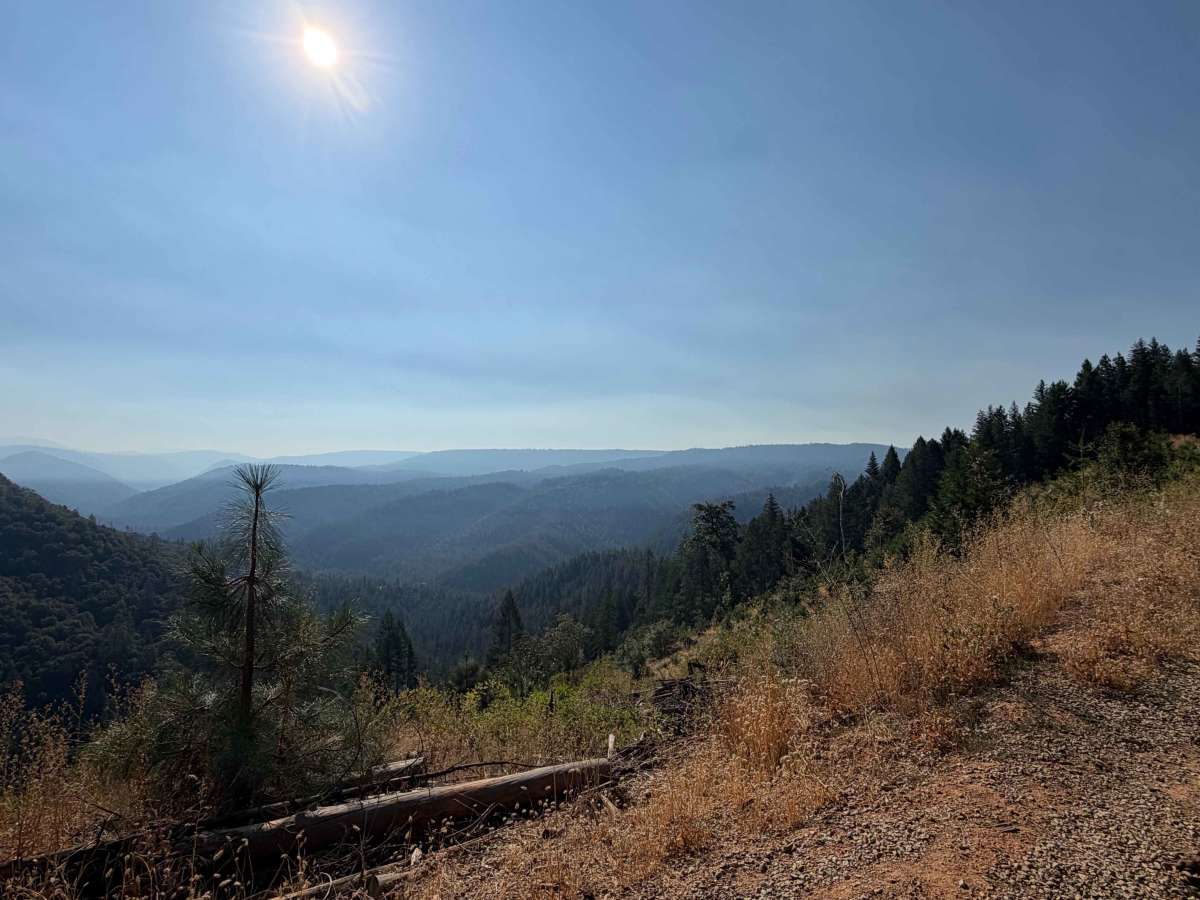Relief Hill - FS 36 trail photo