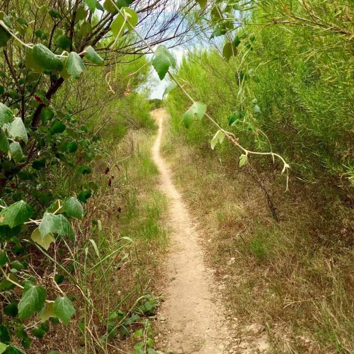 Near Serene Loop Trail