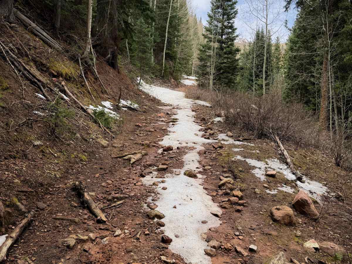 Trail 16   photo 3