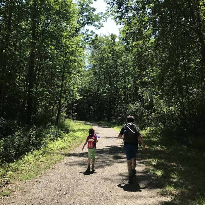 Multi use trail Near Bald Rock Mountain Loop