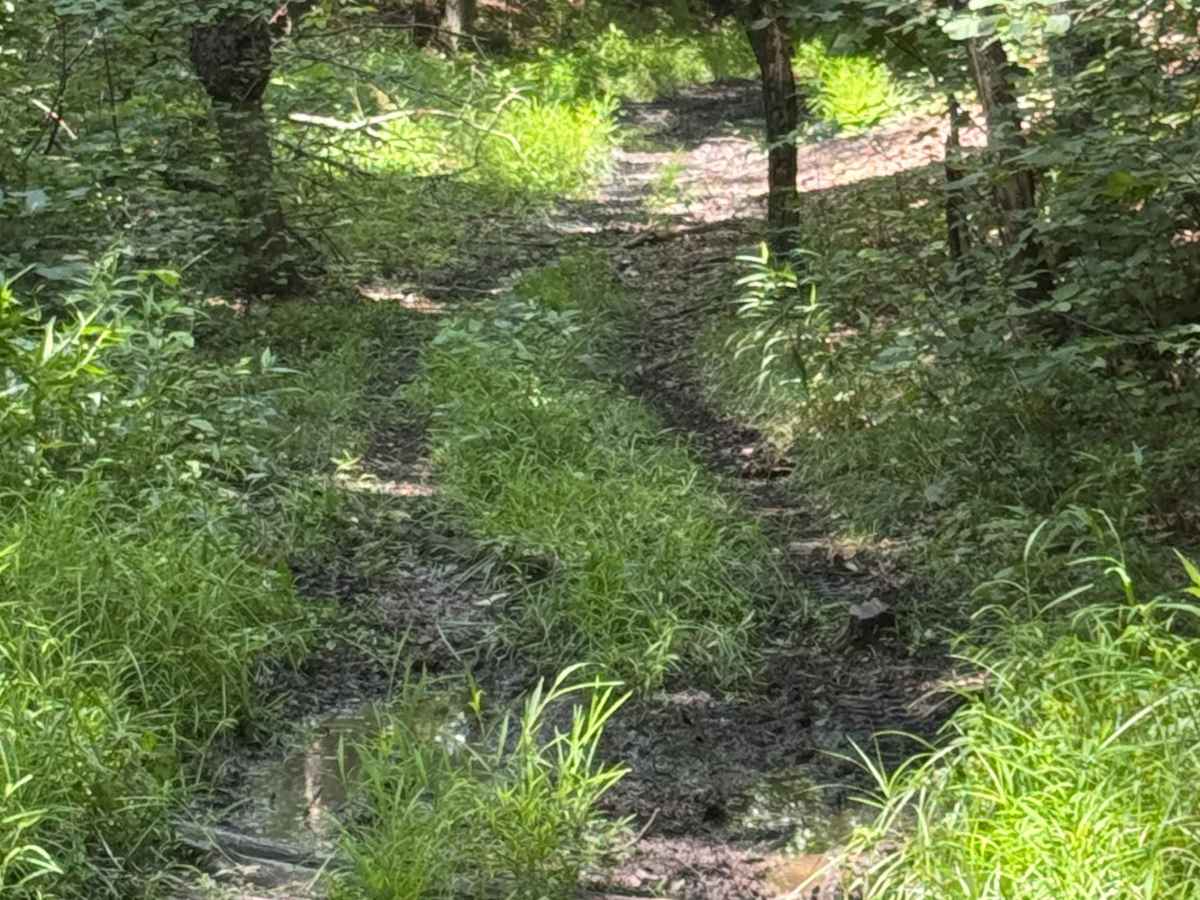 Trail 44 photo 4