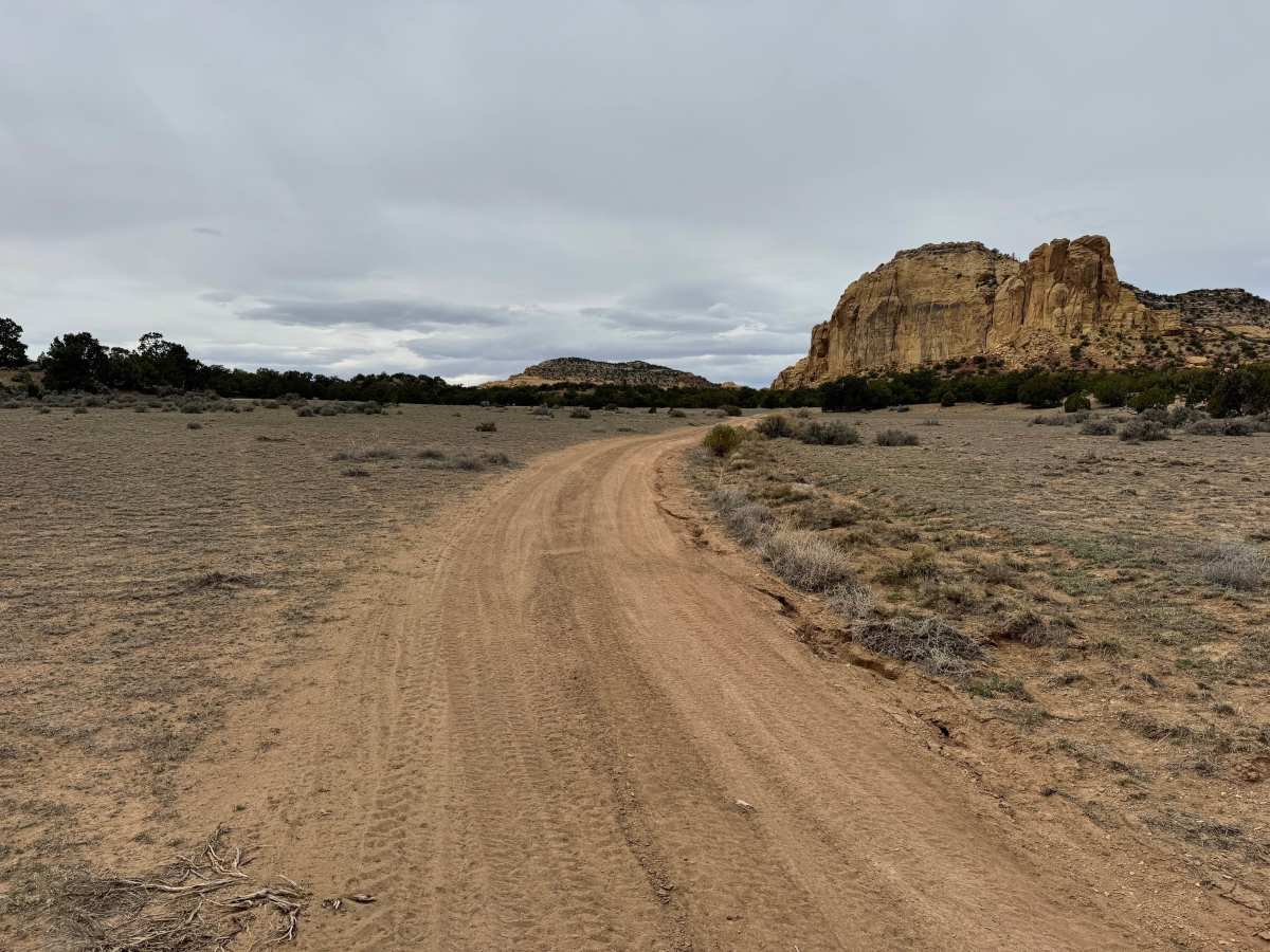 Tree Line Loop photo 4
