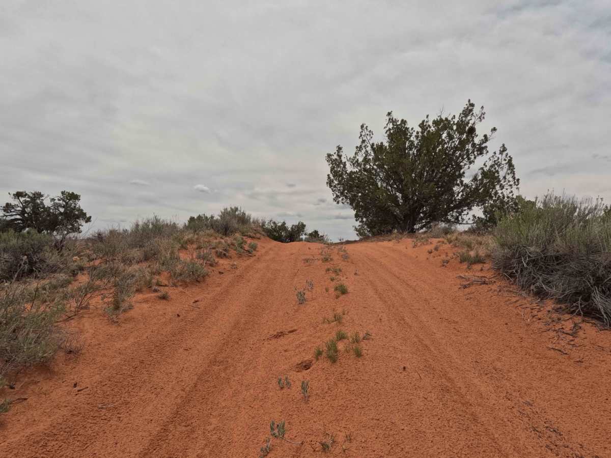 BLM 61H photo 6