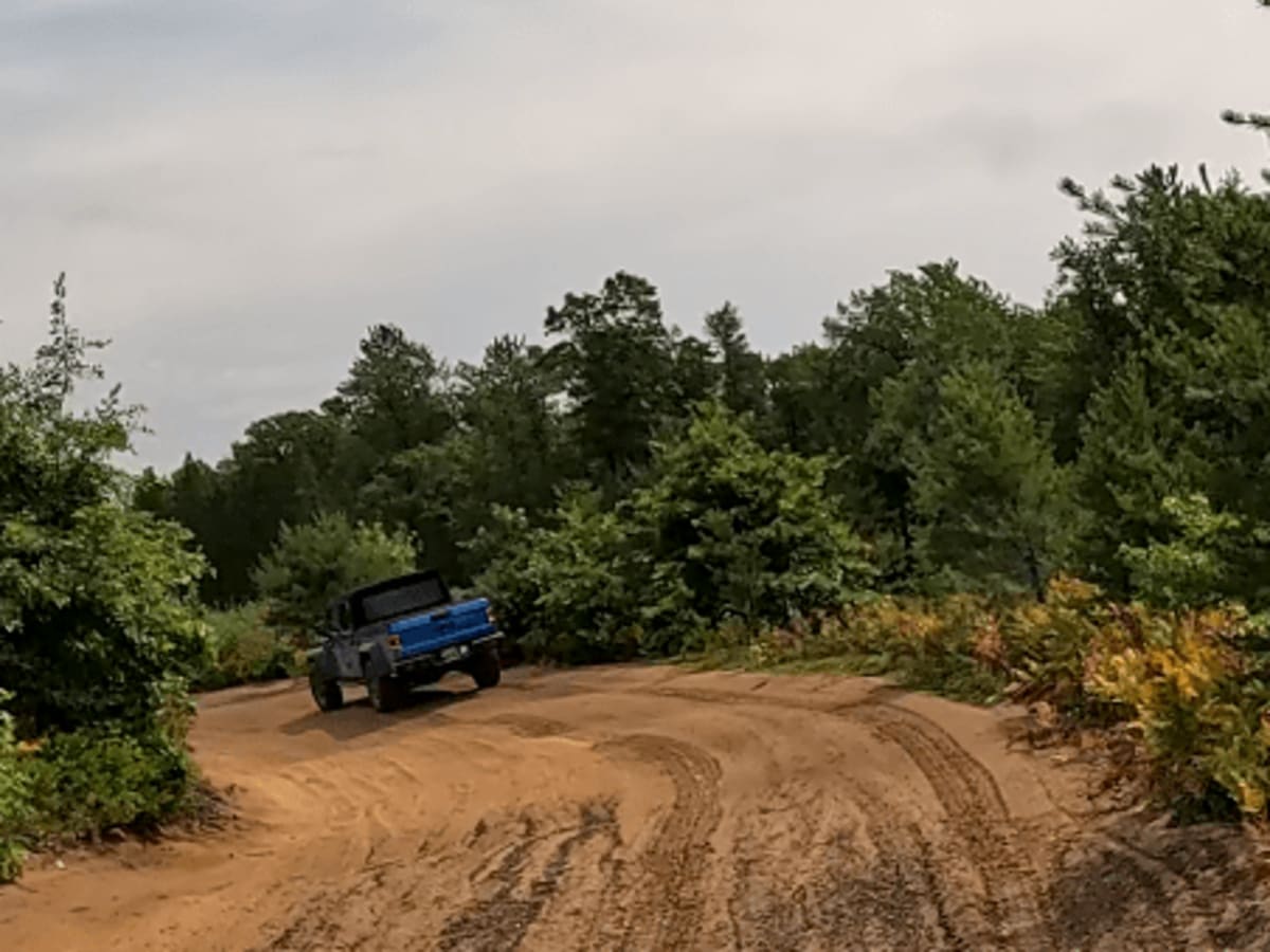 Gladwin Forest Baja photo 4
