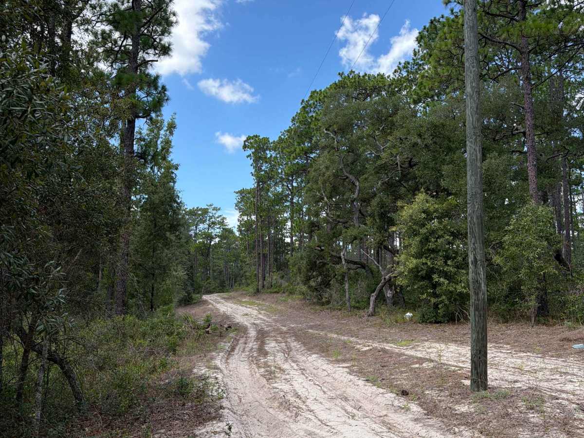 Two Pond Loop photo 6
