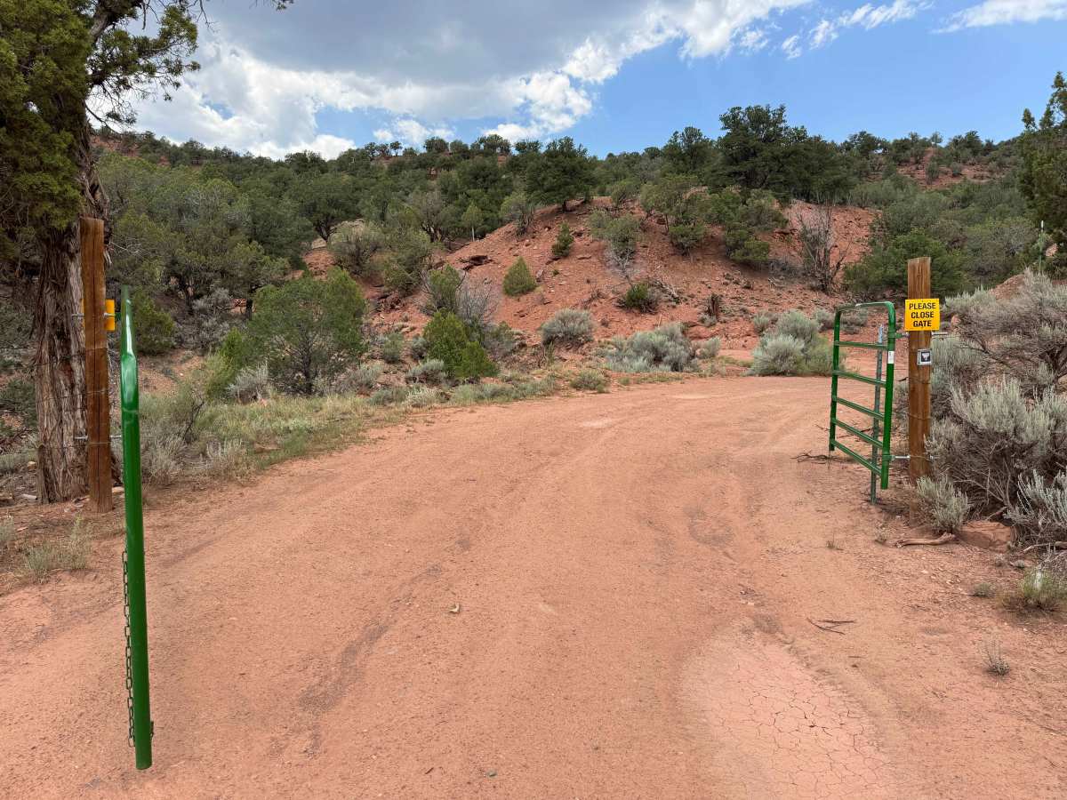 BLM 8457D photo 5